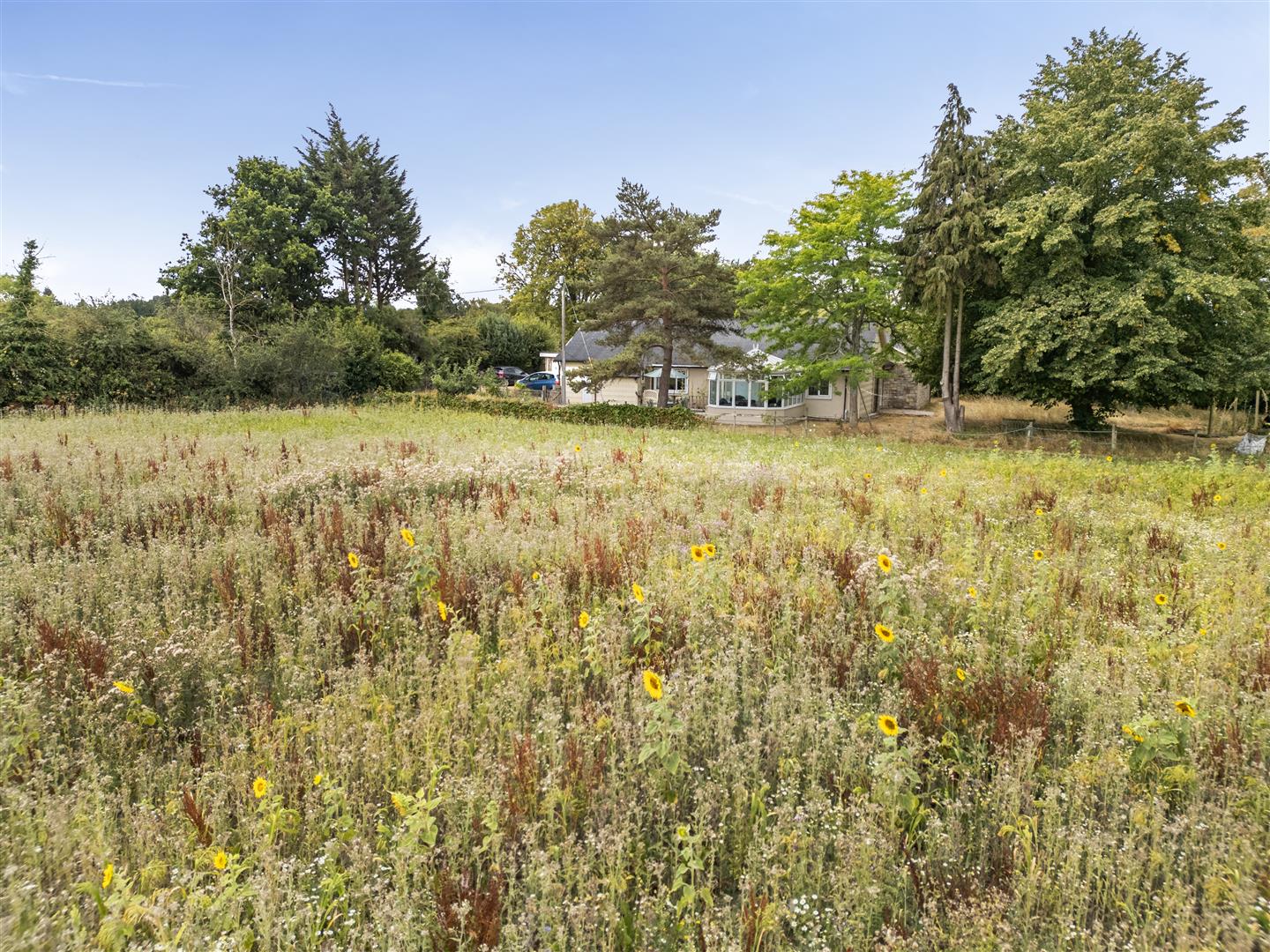 Cedar Lodge, Allington, 